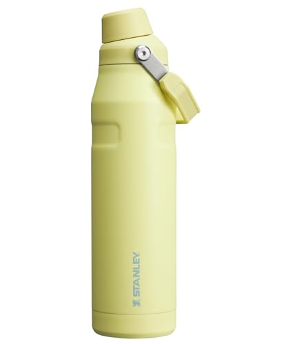 Stanley IceFlow Fast Flow Water Bottle | Angled Spout Lid | Lightweight & Leakproof for Travel & Sports | Insulated Stainless Steel | BPA-Free